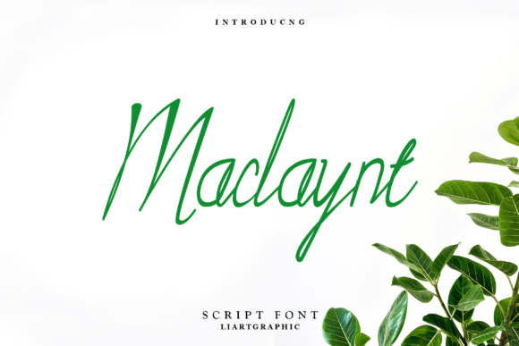 Maclaynt Font Poster 1