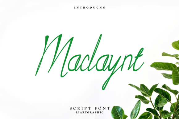 Maclaynt Font