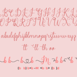 Madame Naila Font Poster 6