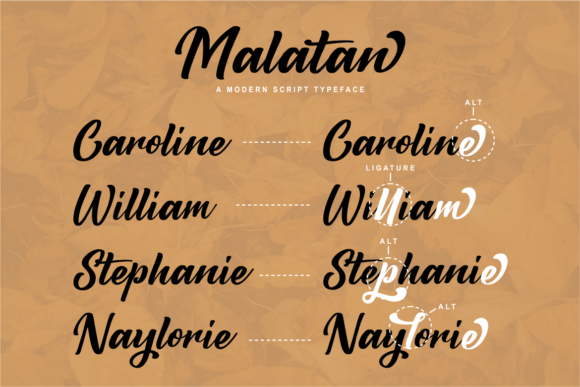 Malatan Font Poster 2