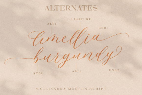Malliandra Script Font Poster 6