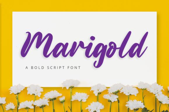 Marigold Font