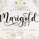 Marigold Font Poster 1