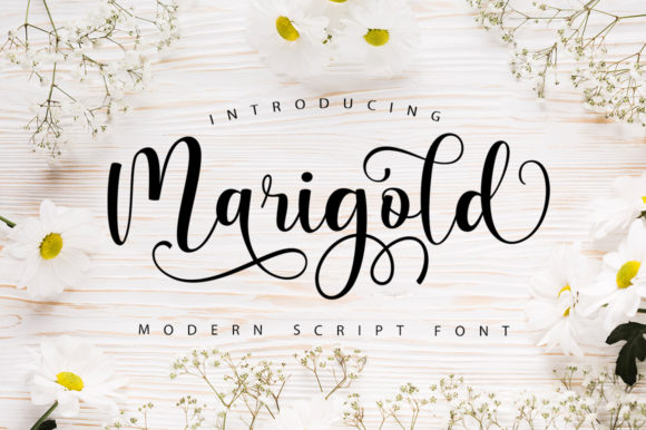 Marigold Font Poster 1