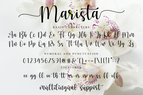 Marista Font Poster 9
