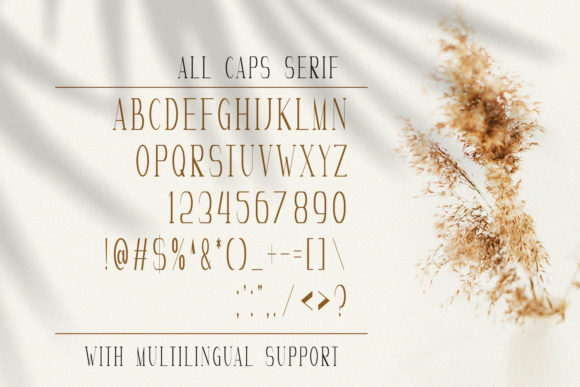 Marvelous Photograph Font Poster 13