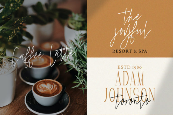Marvelous Photograph Font Poster 9