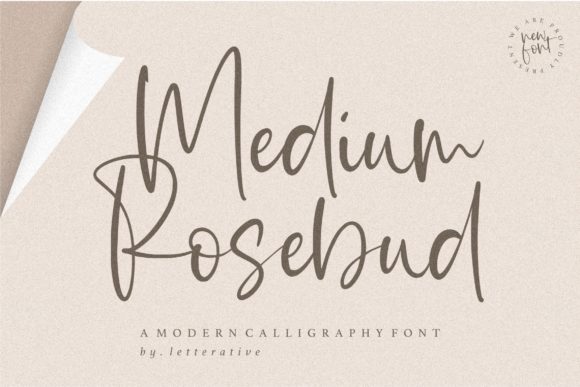 Medium Rosebud Font Poster 1