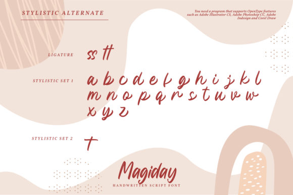 Megiday Font Poster 6