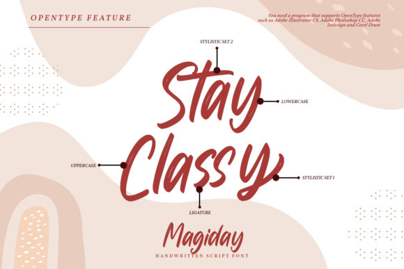 Megiday Font Poster 7