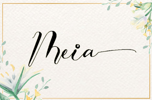 Meia Font Poster 1