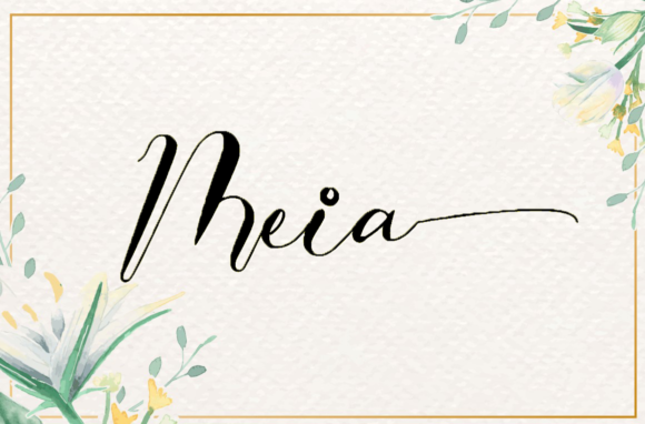 Meia Font