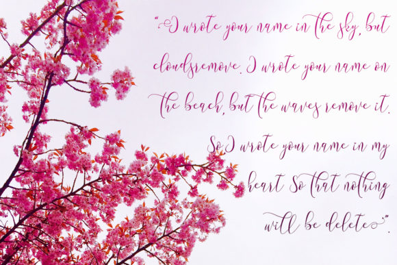 Meillea Font Poster 6