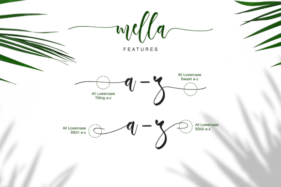 Mella Font Poster 12