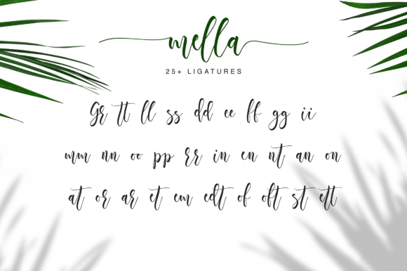 Mella Font Poster 10