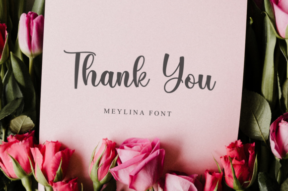 Meylina Font Poster 9