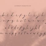 Meysha Font Poster 9