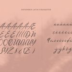 Meysha Font Poster 10