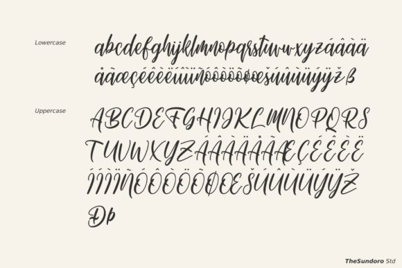 Michellate Font Poster 13