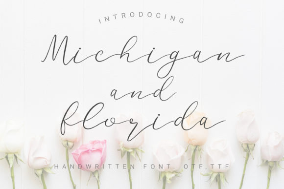 Michigan and Florida Font Poster 1