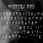 Microba Pro Font Poster 10