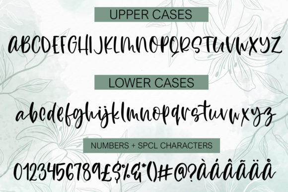 Mikonux a Fun Script with Doodles Font Poster 2