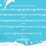 Milkshake Scriptsweet Font Poster 8