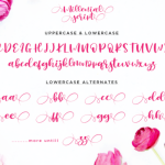 Millenial Script Font Poster 6