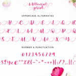 Millenial Script Font Poster 7