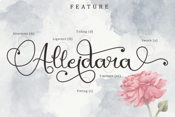 Mirandany Font Poster 5