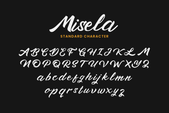 Misela Font Poster 4