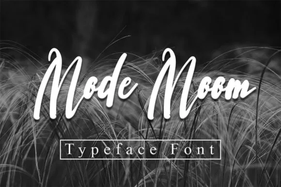 Mode Moon Font Mode Moon Font Poster 1