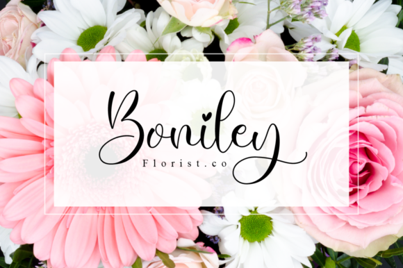 Mody Love Font Poster 3
