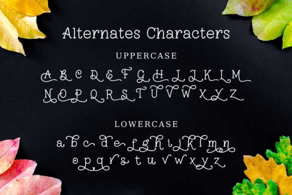 Mogalaris Font Poster 11