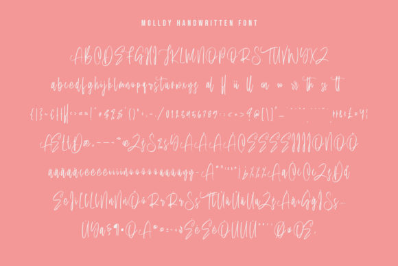 Molldy Font Poster 6