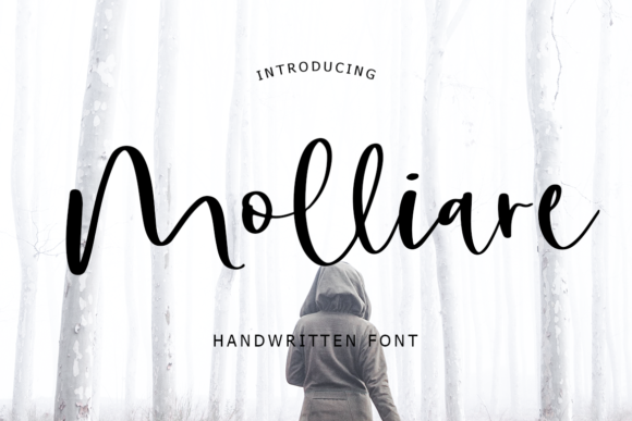 Molliare Font Poster 1