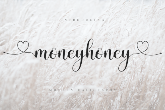 Moneyhoney Font Poster 1