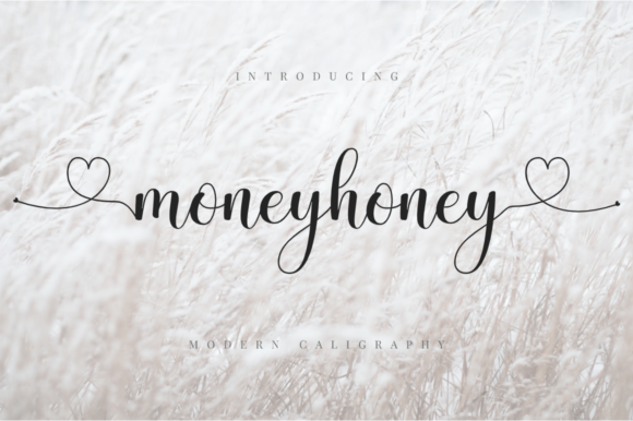 Moneyhoney Font Moneyhoney Font Poster 1