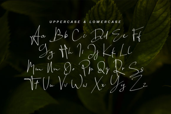Mongoill Font Poster 8
