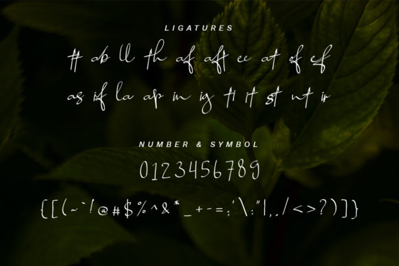 Mongoill Font Poster 9