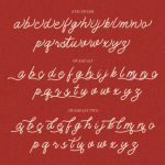Monology Font Poster 8
