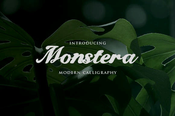 Monstera Font