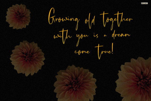 Moonlight in Tokyo Font Poster 6
