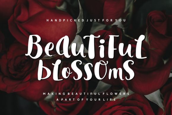 Morina Rosella Font Poster 3