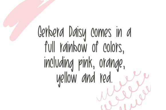 Morning Gerbera Daisy Font Poster 2