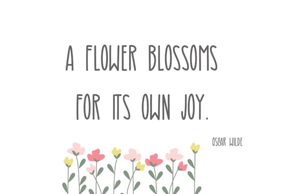 Morning Gerbera Daisy Font Poster 3