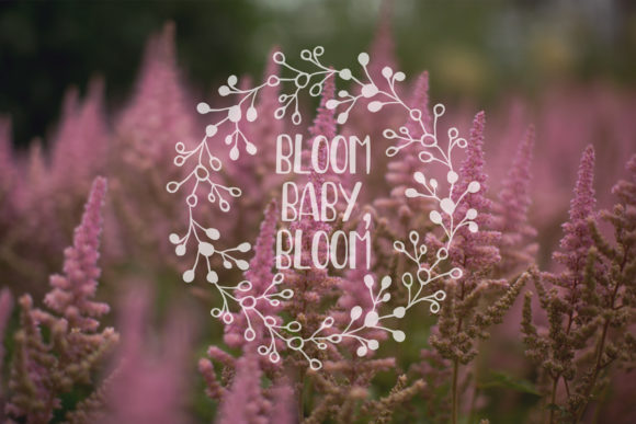 MultiFloral Font Poster 5