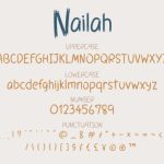 Nailah Font Poster 3