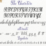 Nattalia Font Poster 11