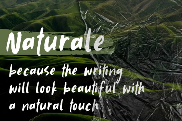 Naturale Font Poster 1